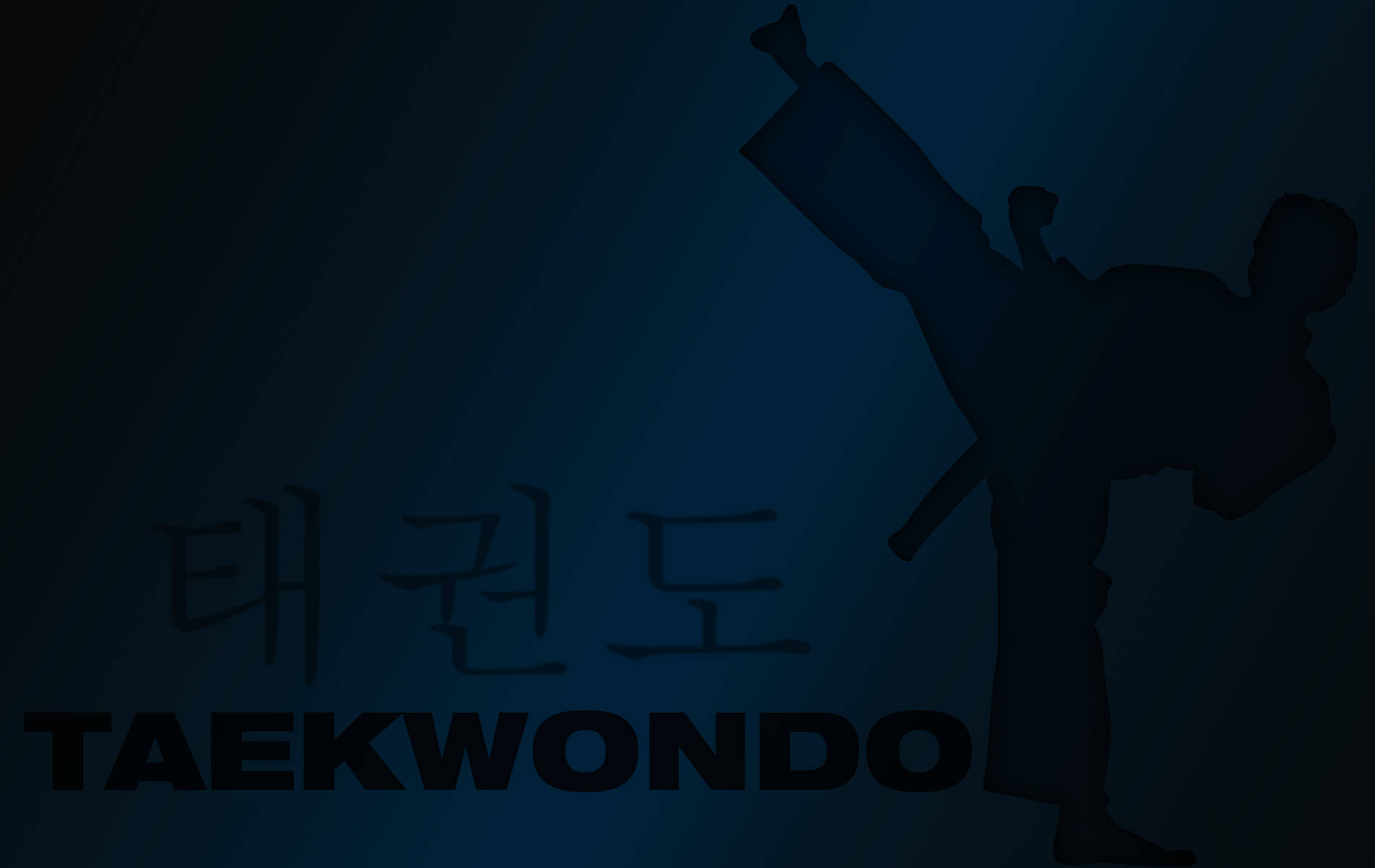 Kampfsporttaekwondo Dunkelblaue Silhouette Wallpaper
