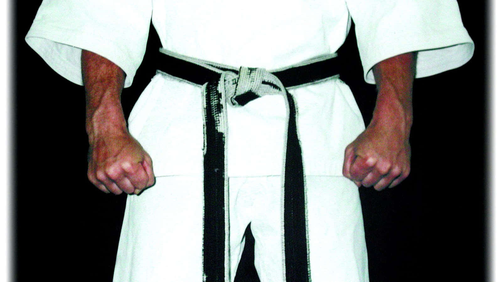 Martial artist striking a pose in a traditional martial arts uniform Wallpaper