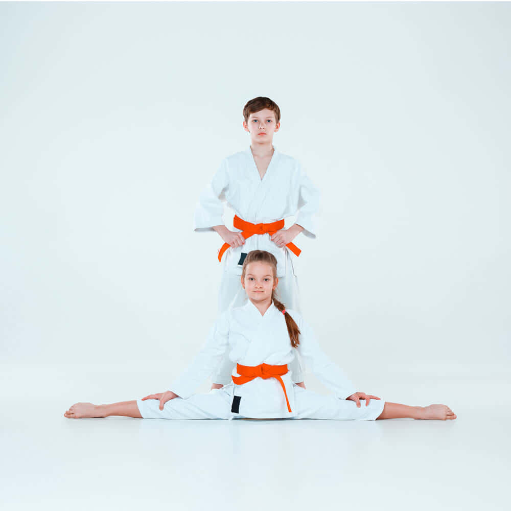 Caption: Two martial artists in traditional uniforms demonstrating a technique Wallpaper