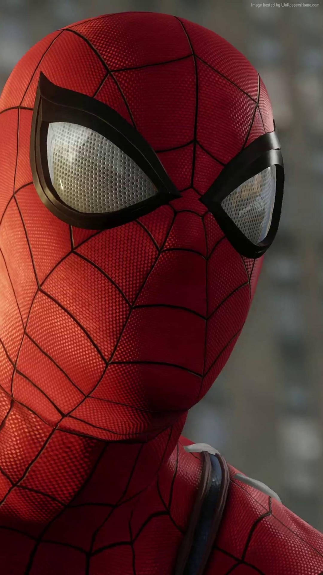Spiderman Hd Hintergrundbilder Hd Hintergrundbilder Wallpaper