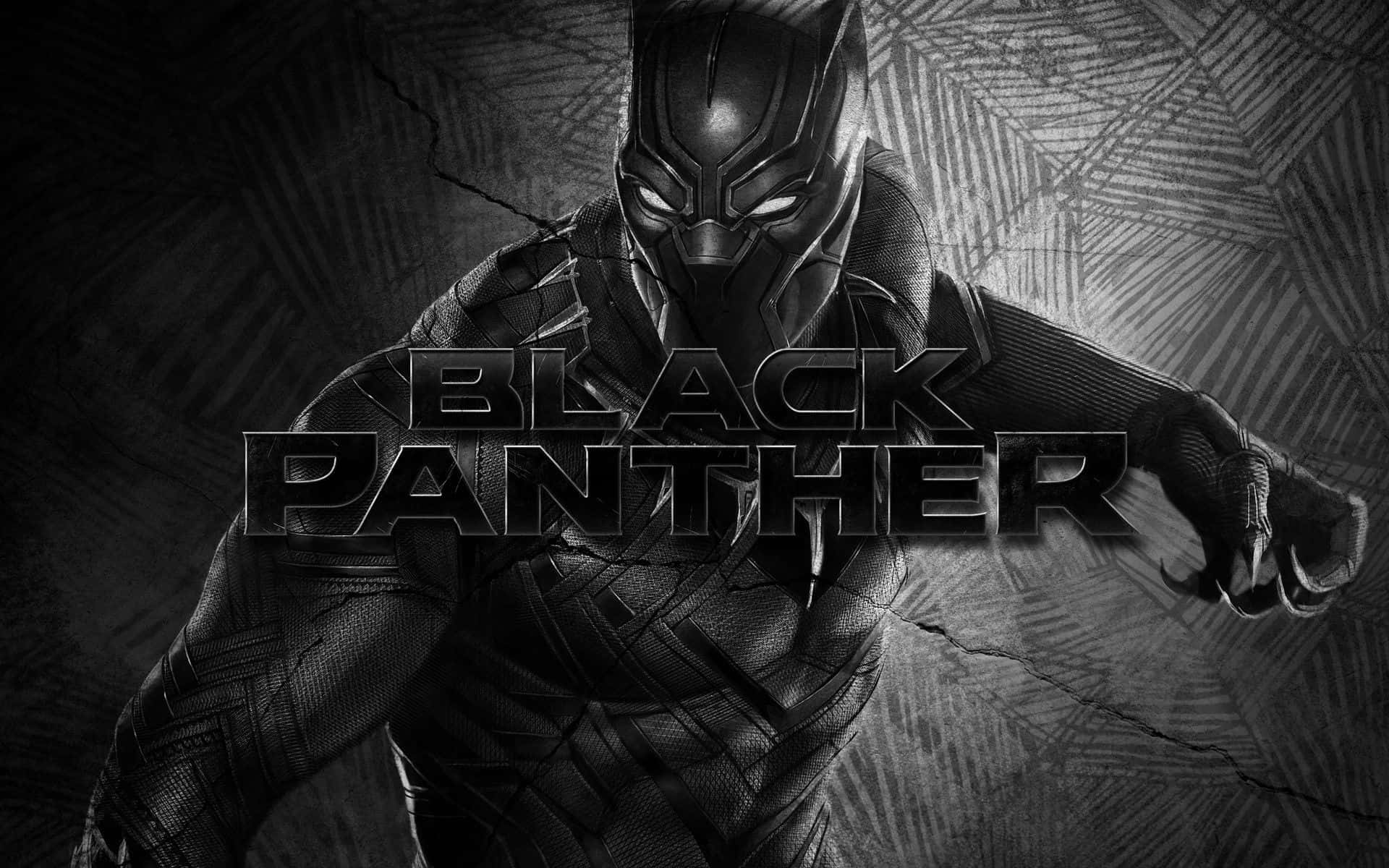 Marvel Black And White Black Panther Being Cautious Wallpaper