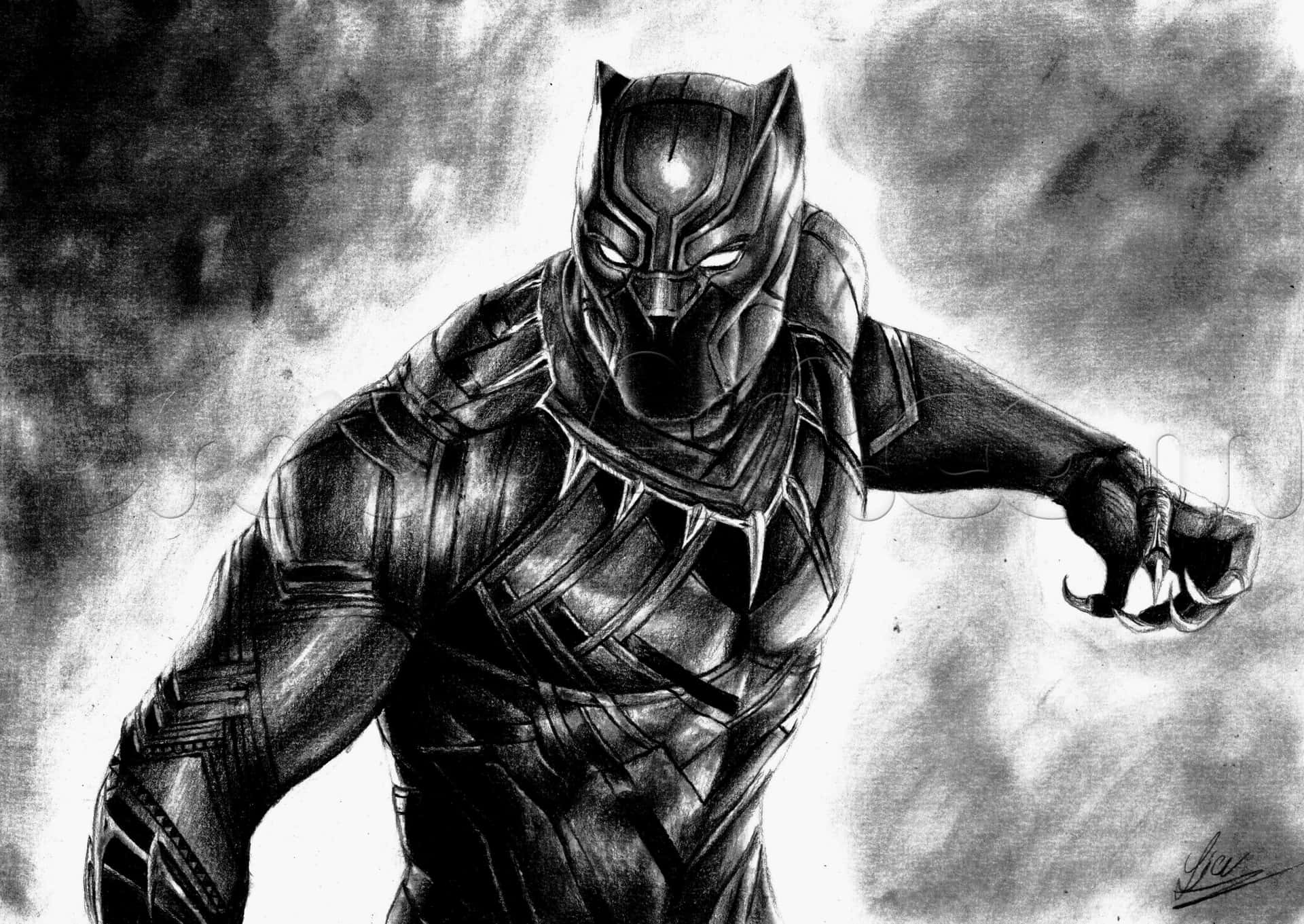 Marvelin Bianco E Nero: Black Panther Sfondo