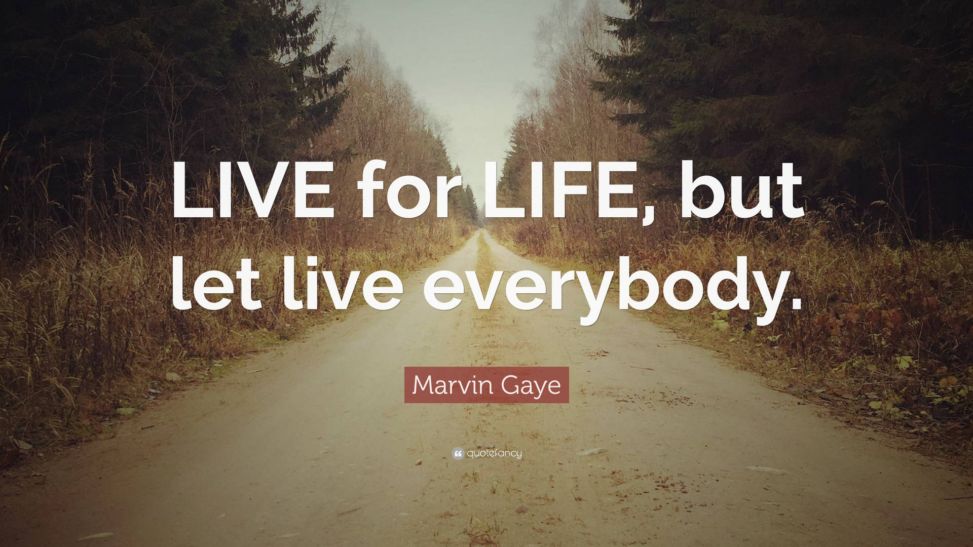 Marvin Gaye Live For Life Quote Wallpaper