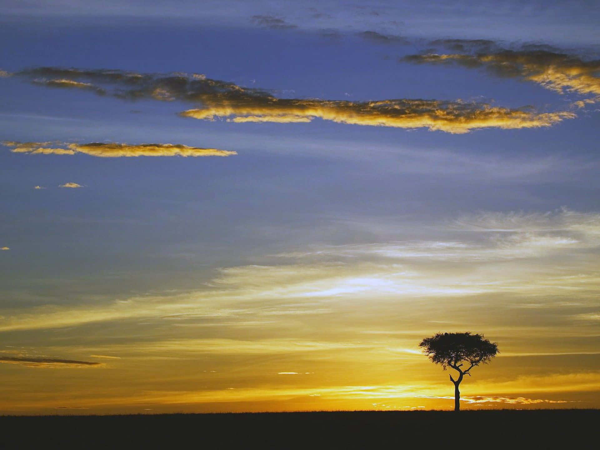 Masai Mara National Reserve har et udvalg af billeder af vilde dyr som baggrundsbillede. Wallpaper