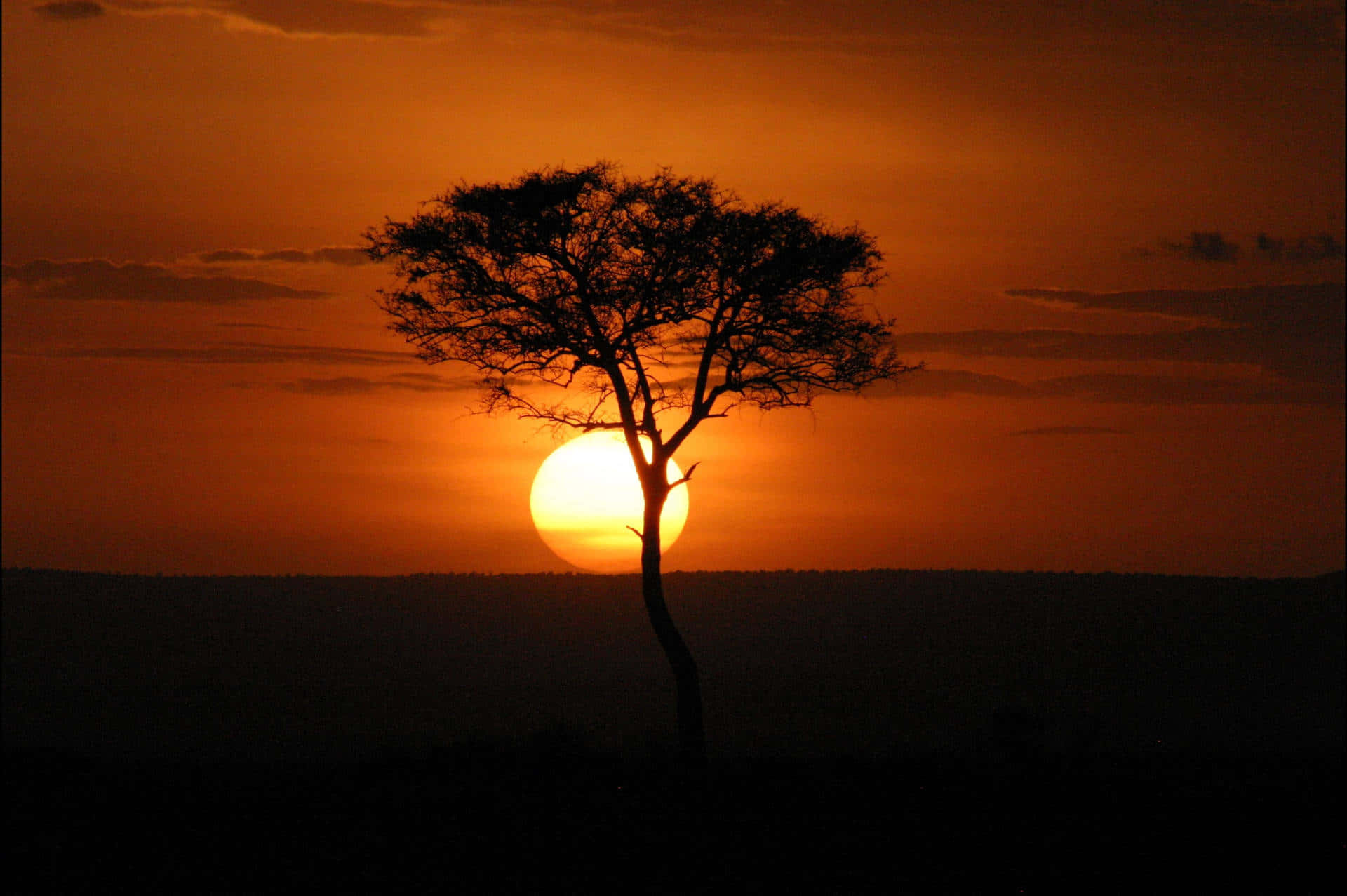 Masaimara National Reserve Bei Sonnenuntergang Wallpaper
