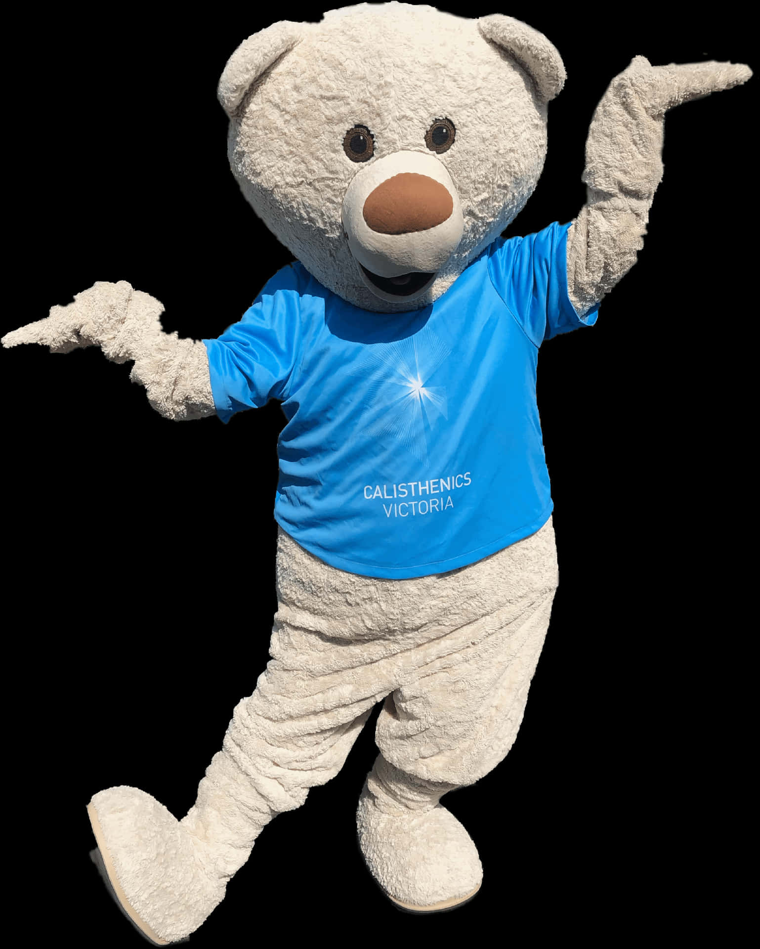 Mascot Teddy Bearin Blue Shirt PNG