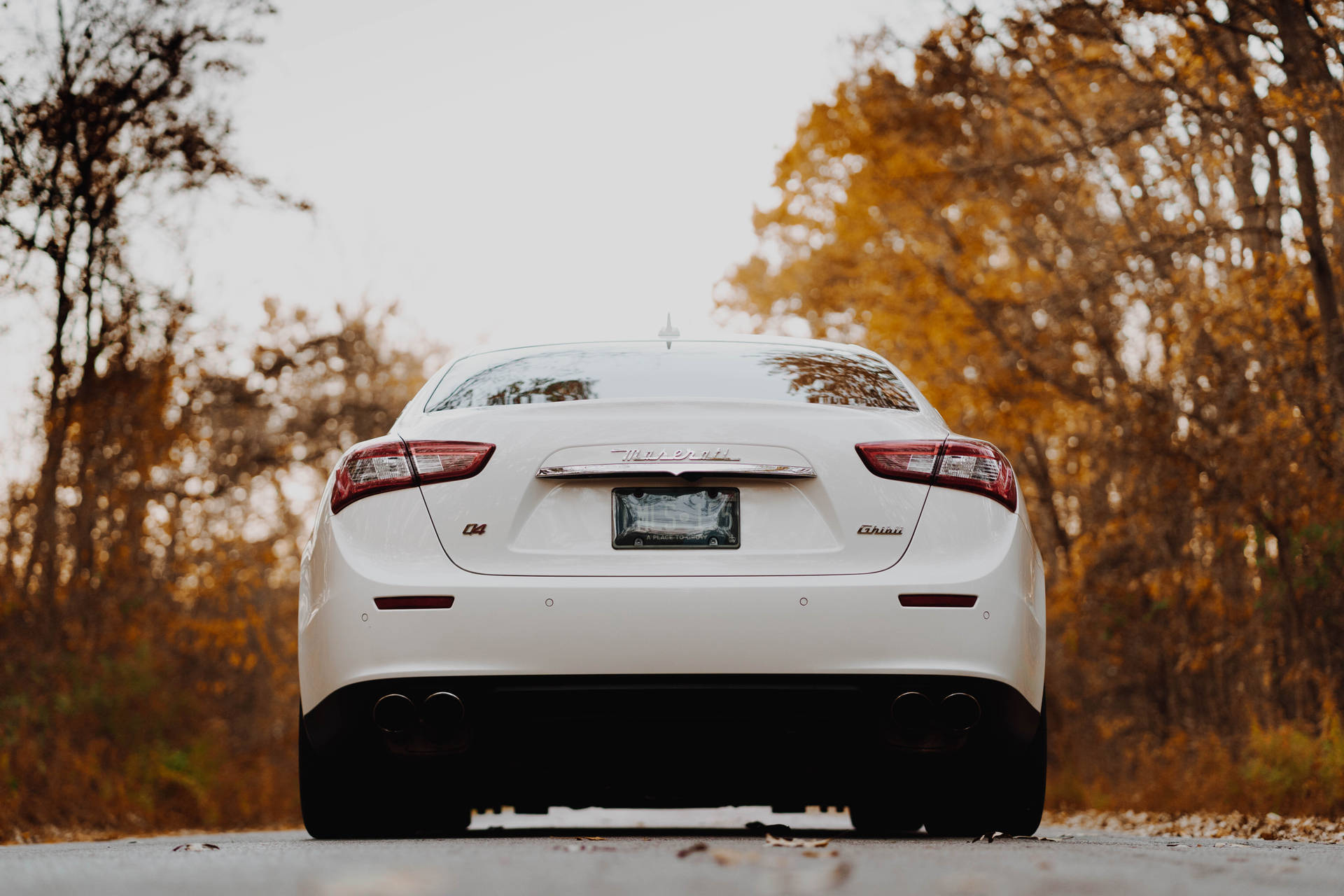 Maserati In Autumn