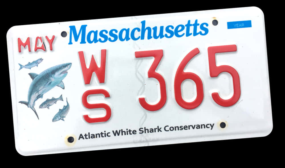 Massachusetts Shark Conservancy License Plate PNG