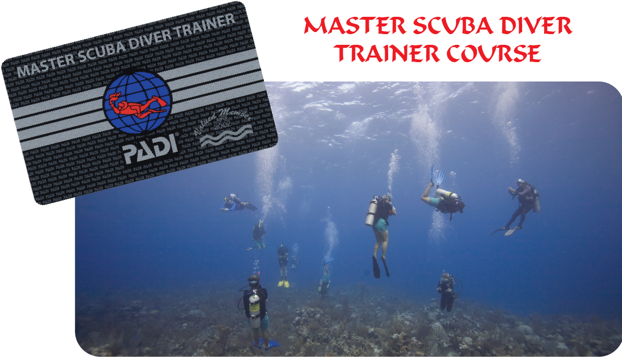 Master Scuba Diver Trainer Course Underwater Session PNG