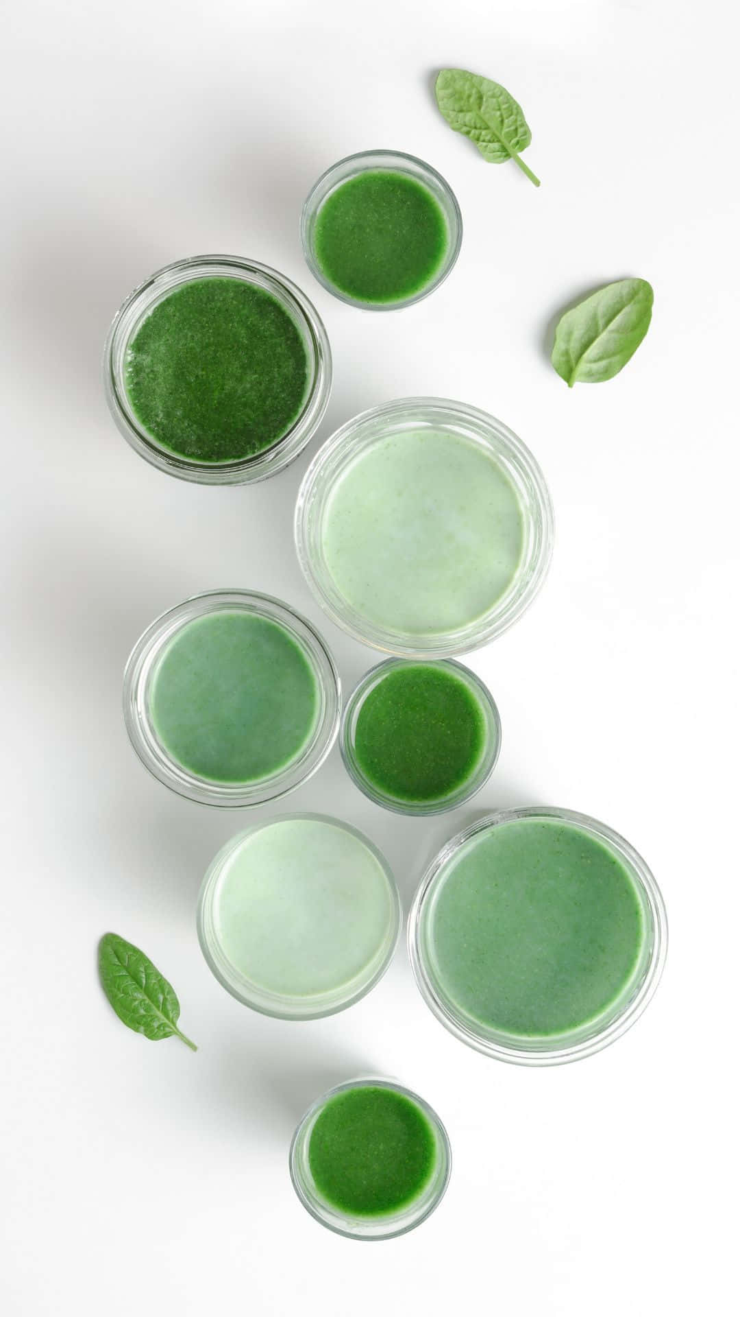 Matcha Green Tea Sage Aesthetic Wallpaper
