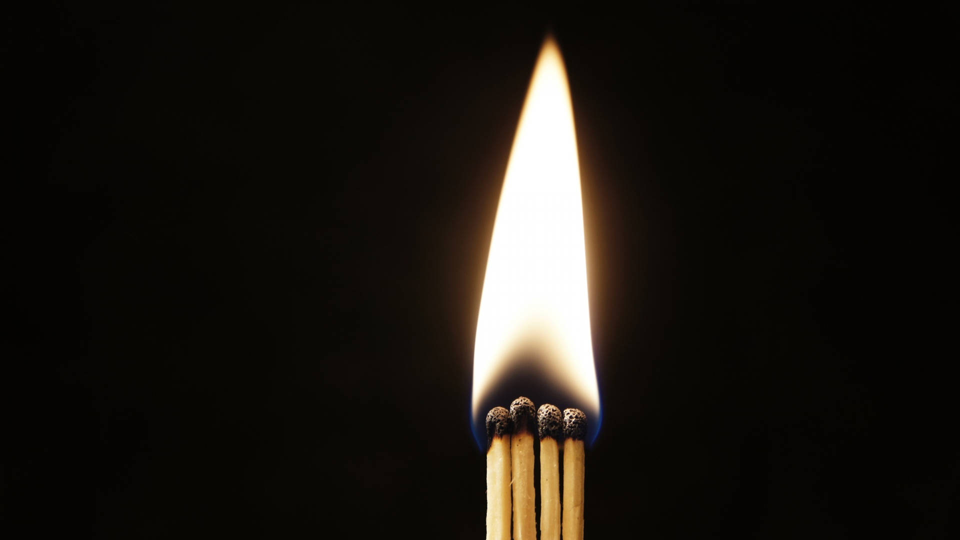 Matches Being Lit Together Wallpaper