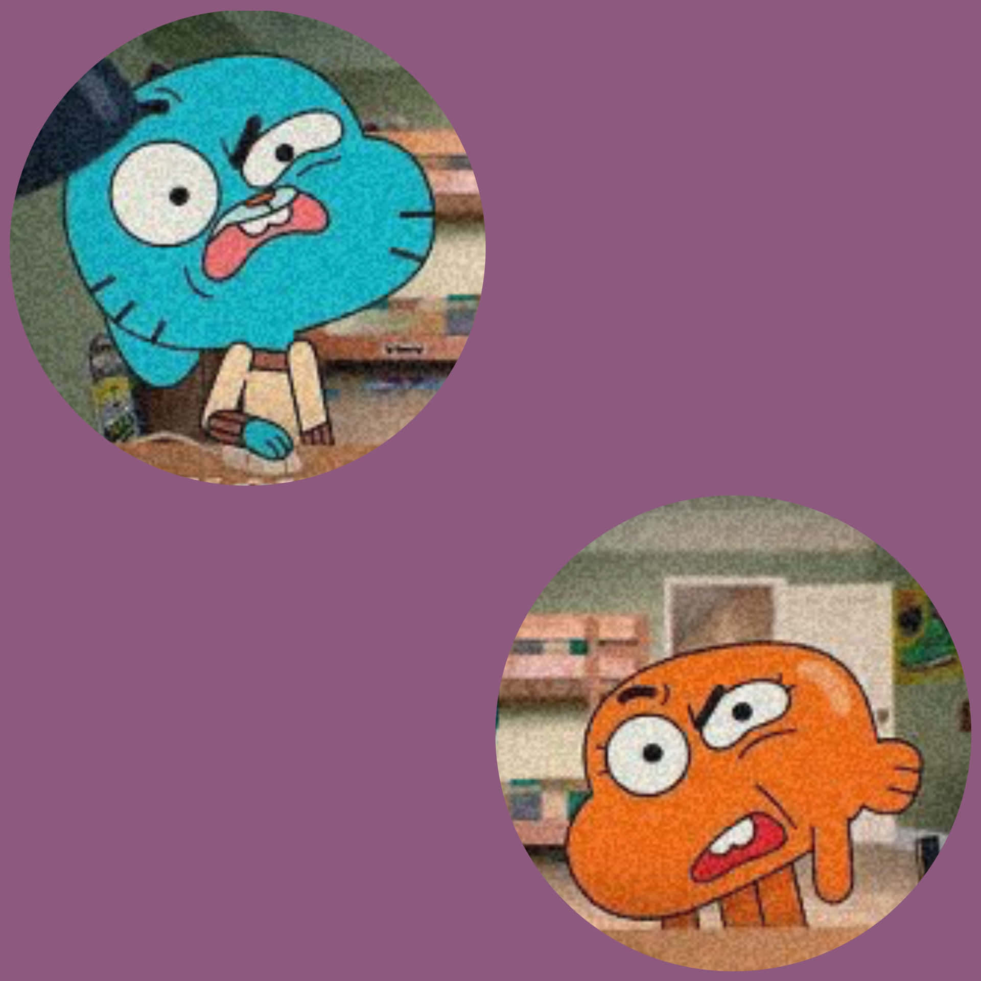Cute Gumball And Darwin Matching Profile Picture