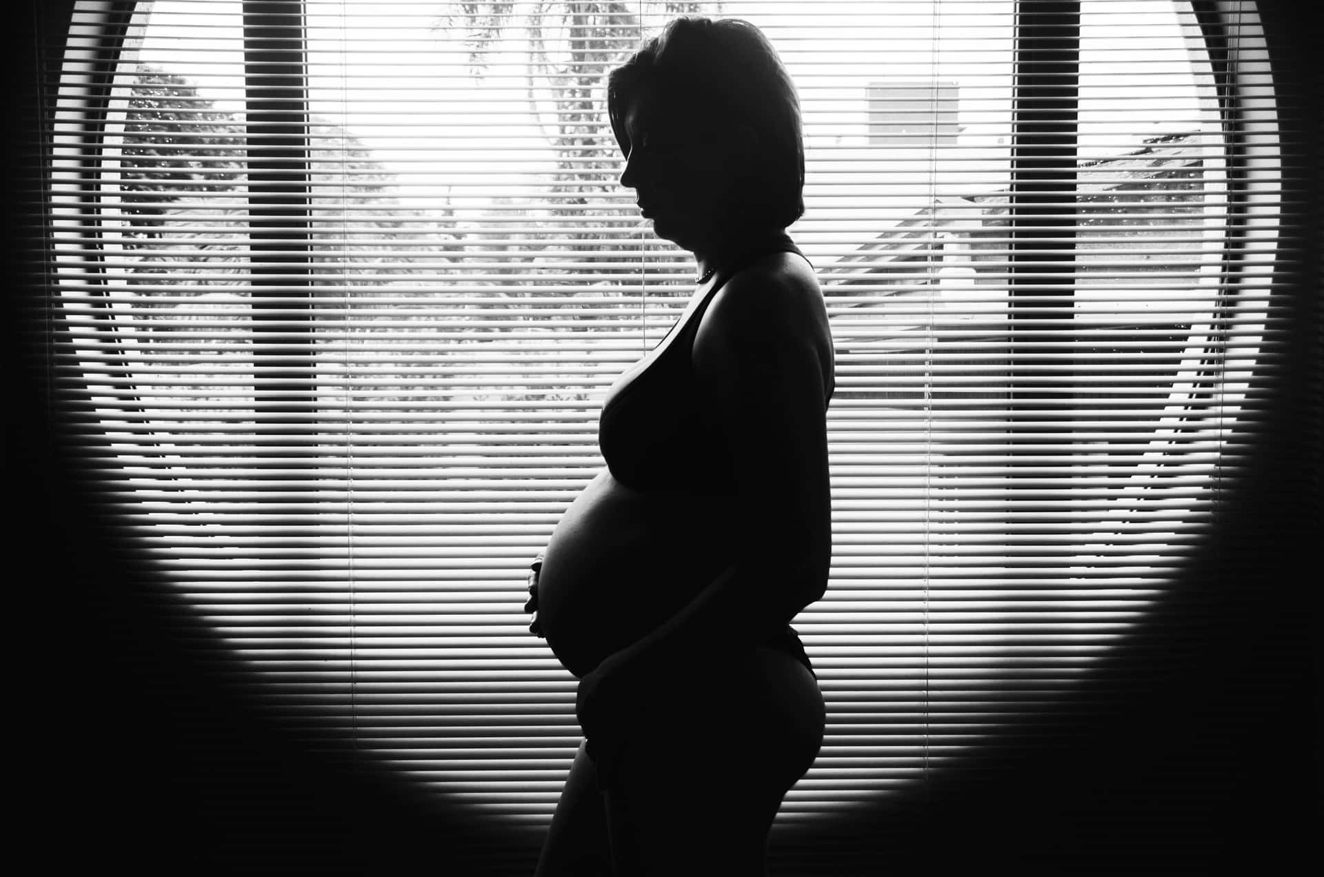 Gravidkvinna Siluett Graviditetsbild.