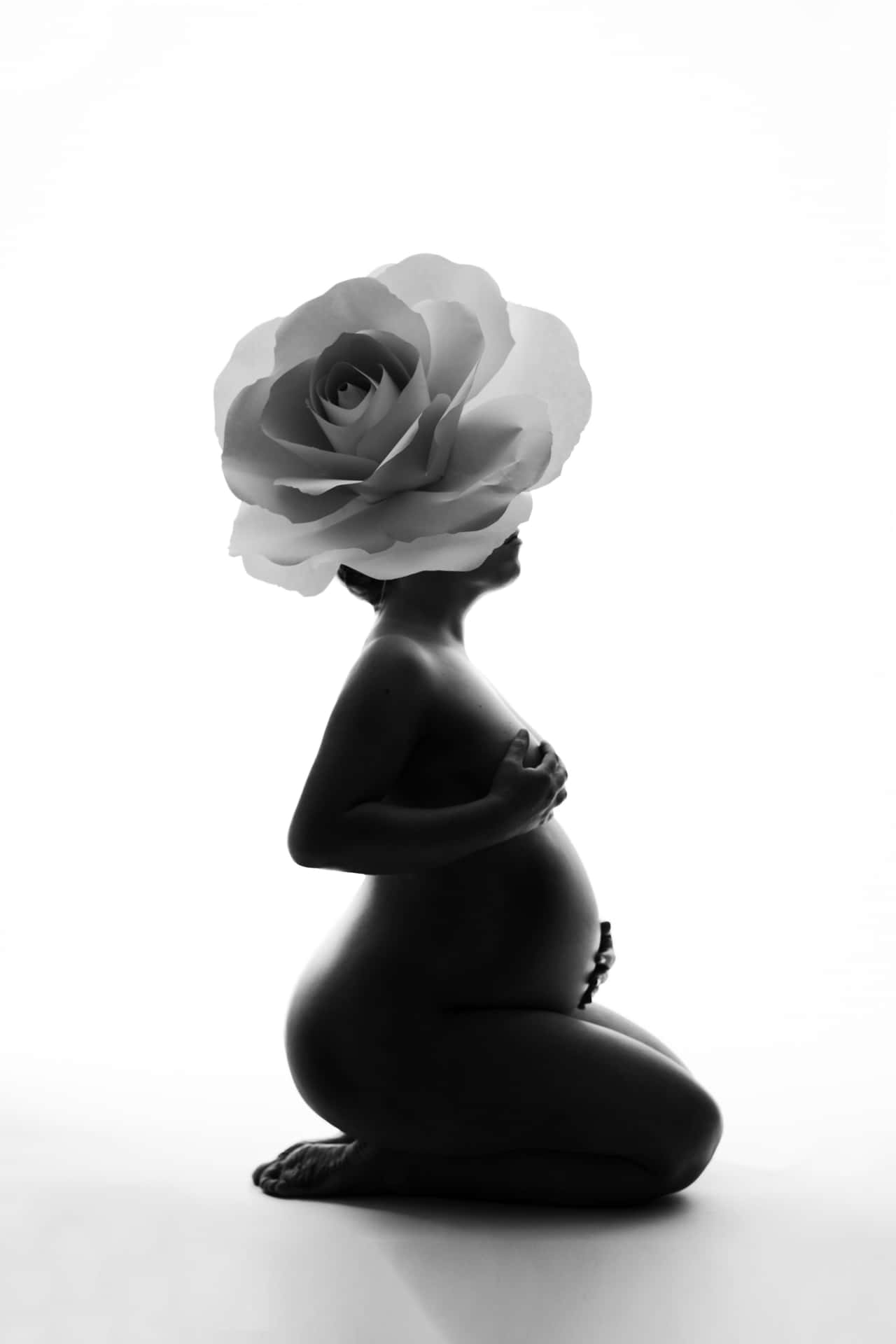 Hvid Rose Gravid Kvinde Barsel Billede Tapet