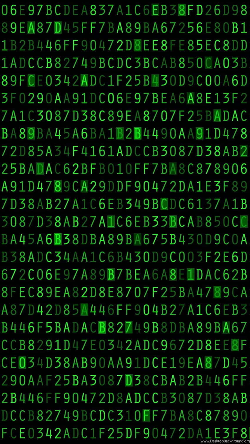 Find Clues in the Matrix Wallpaper