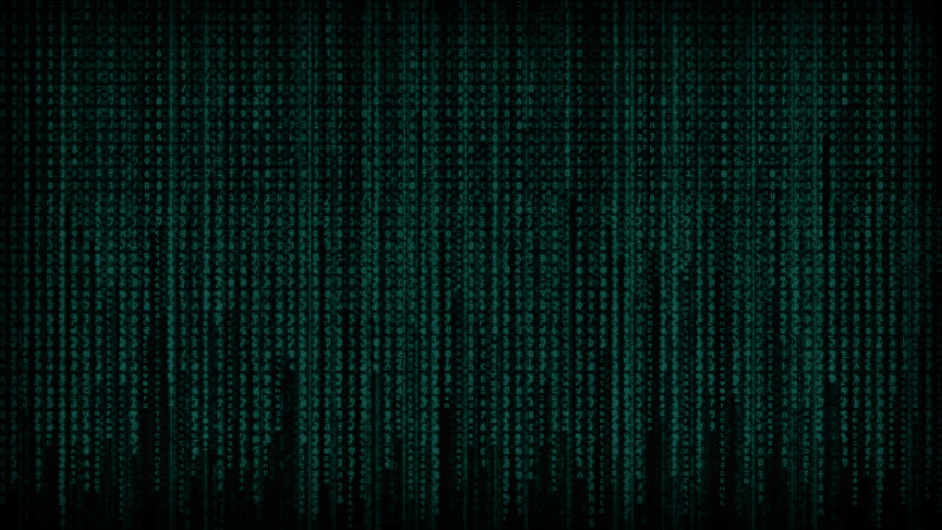 Entdeckedie Geheimnisse Der Matrix Wallpaper