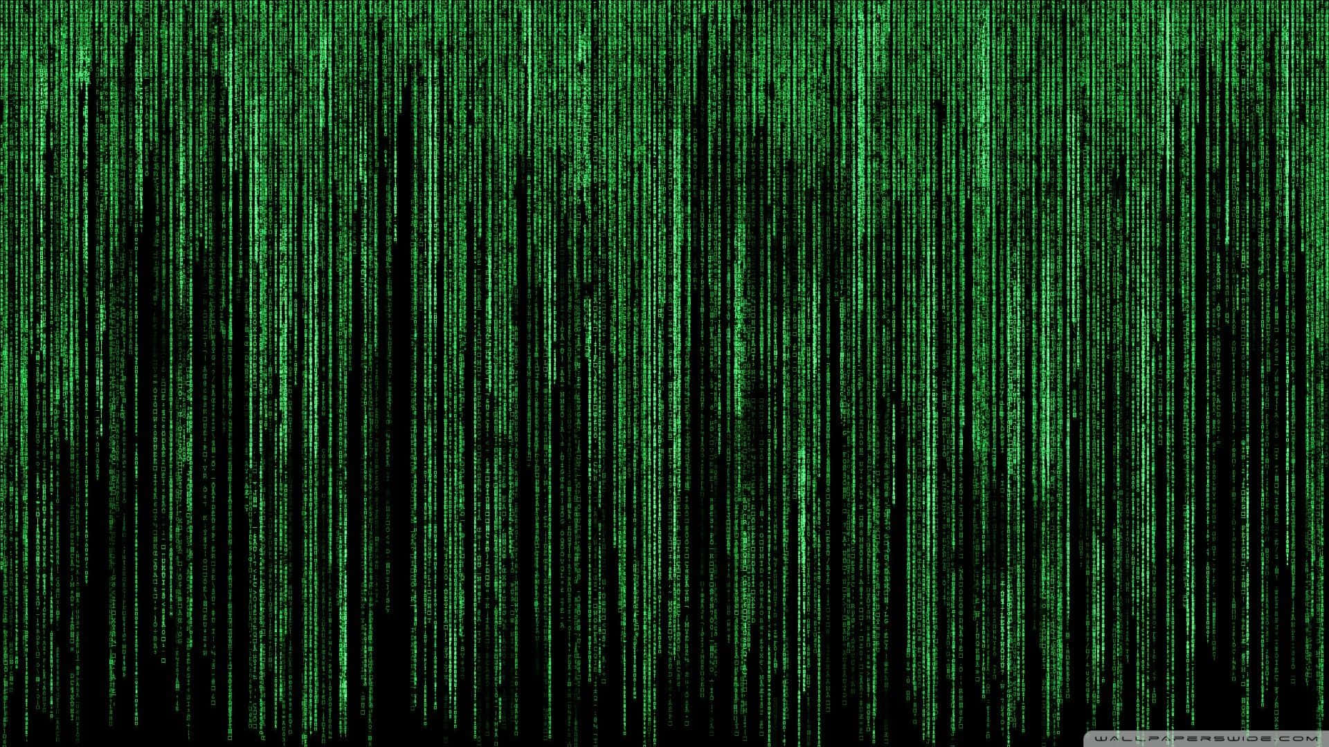 The Matrix Wallpaper Hd Wallpaper