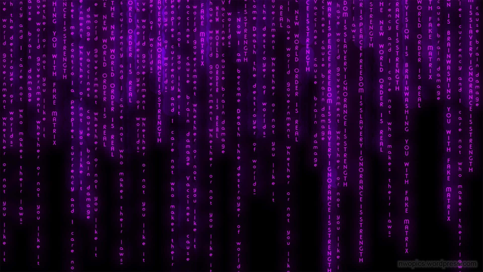 Purple Matrix Wallpapers Hd Wallpapers Wallpaper