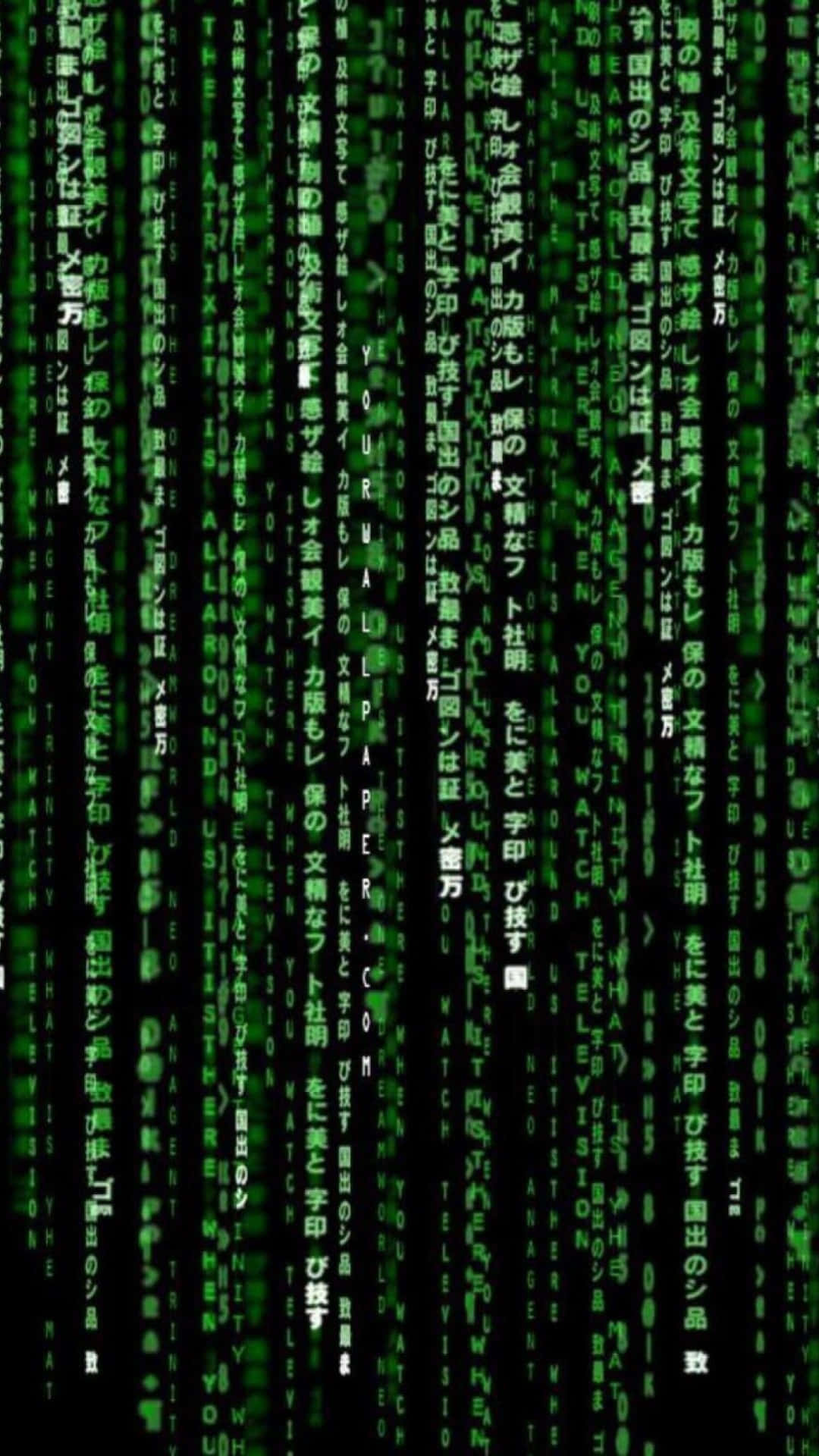 De matrix kode i grøn og sort Wallpaper