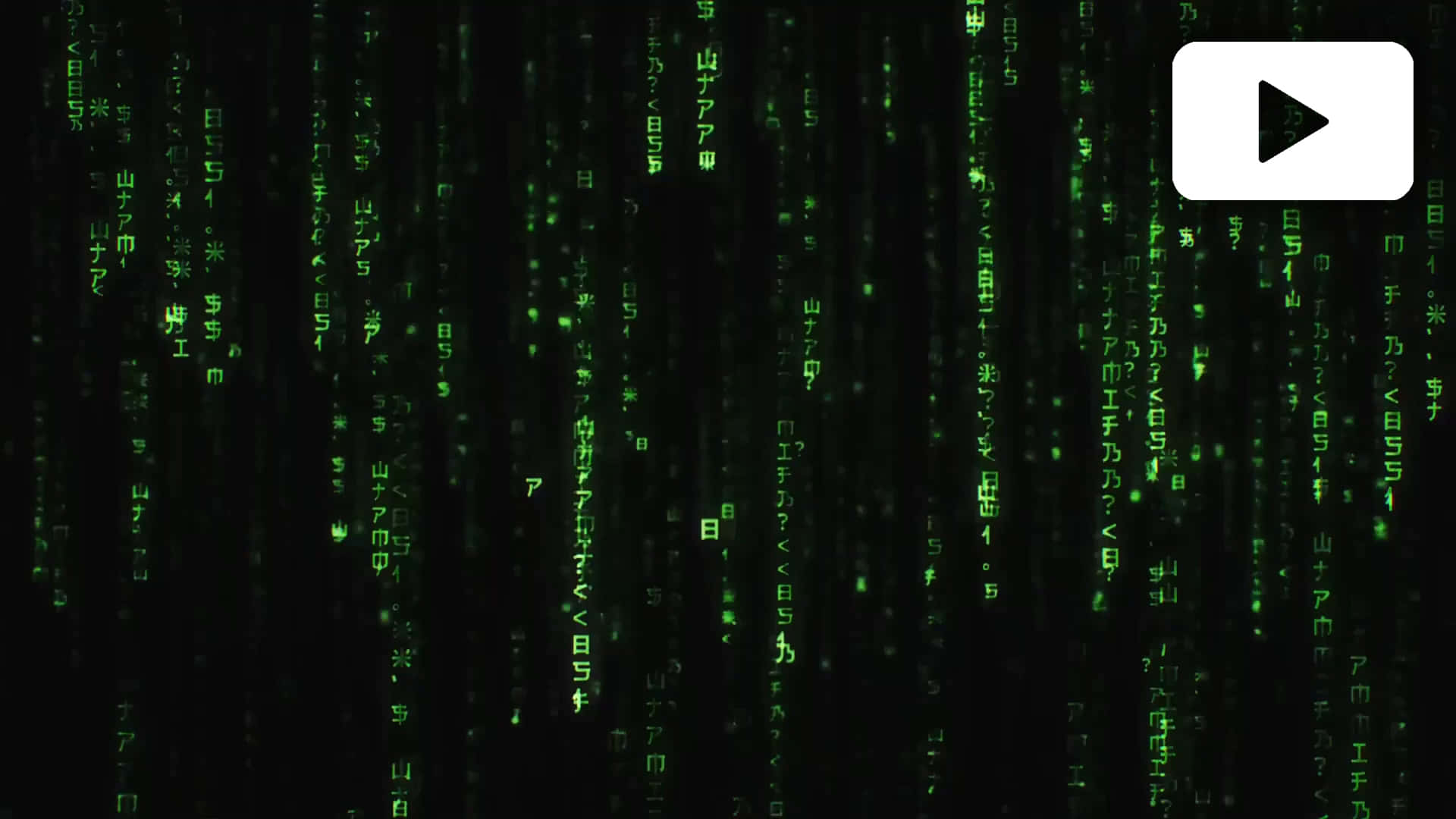 The Matrix Zoom - Experience the virtual world.