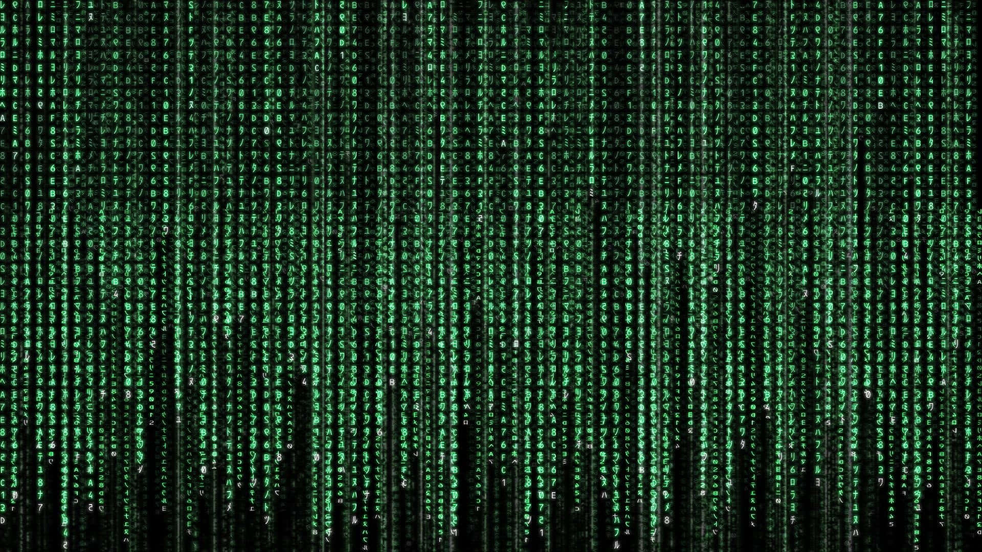 Blimer Närvarande I Matrixen Genom Att Zooma In På Bakgrundsbilden För Datorn Eller Mobilen.