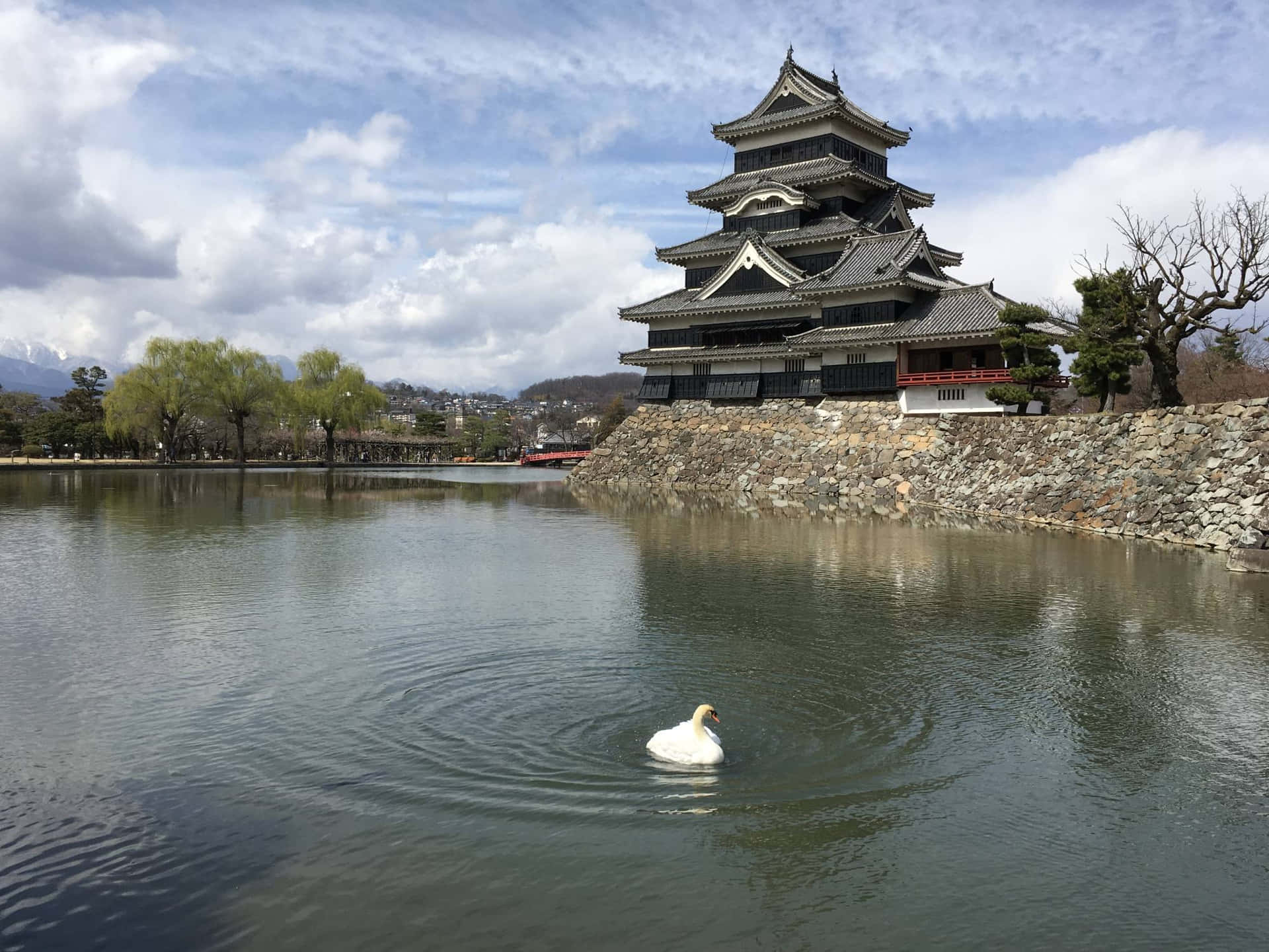 Fosodel Castillo De Matsumoto Con Un Cisne. Fondo de pantalla