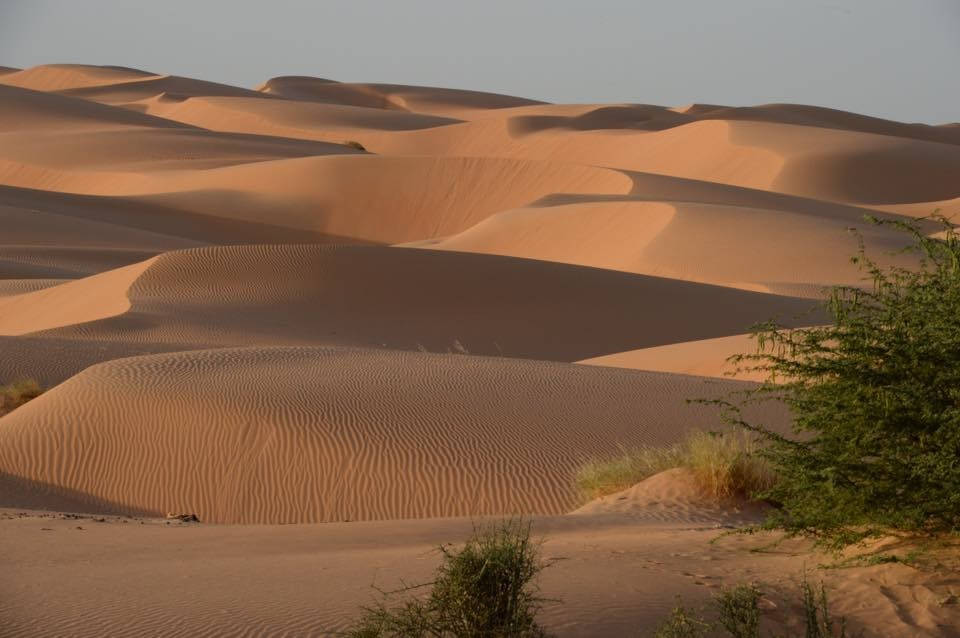 Paisajedel Desierto De Mauritania Fondo de pantalla