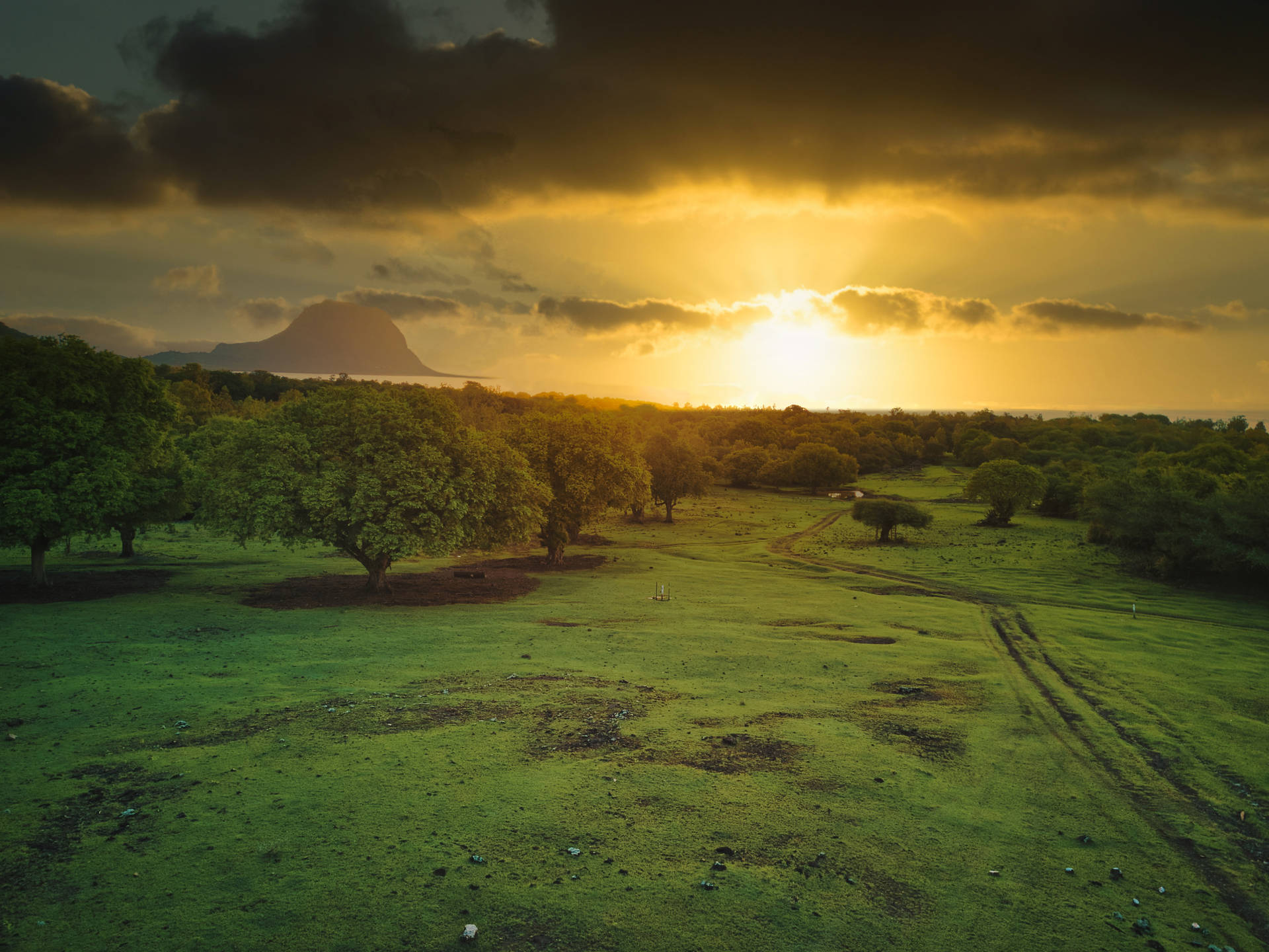 Mauritiusgräsäng Vid Solnedgången. Wallpaper