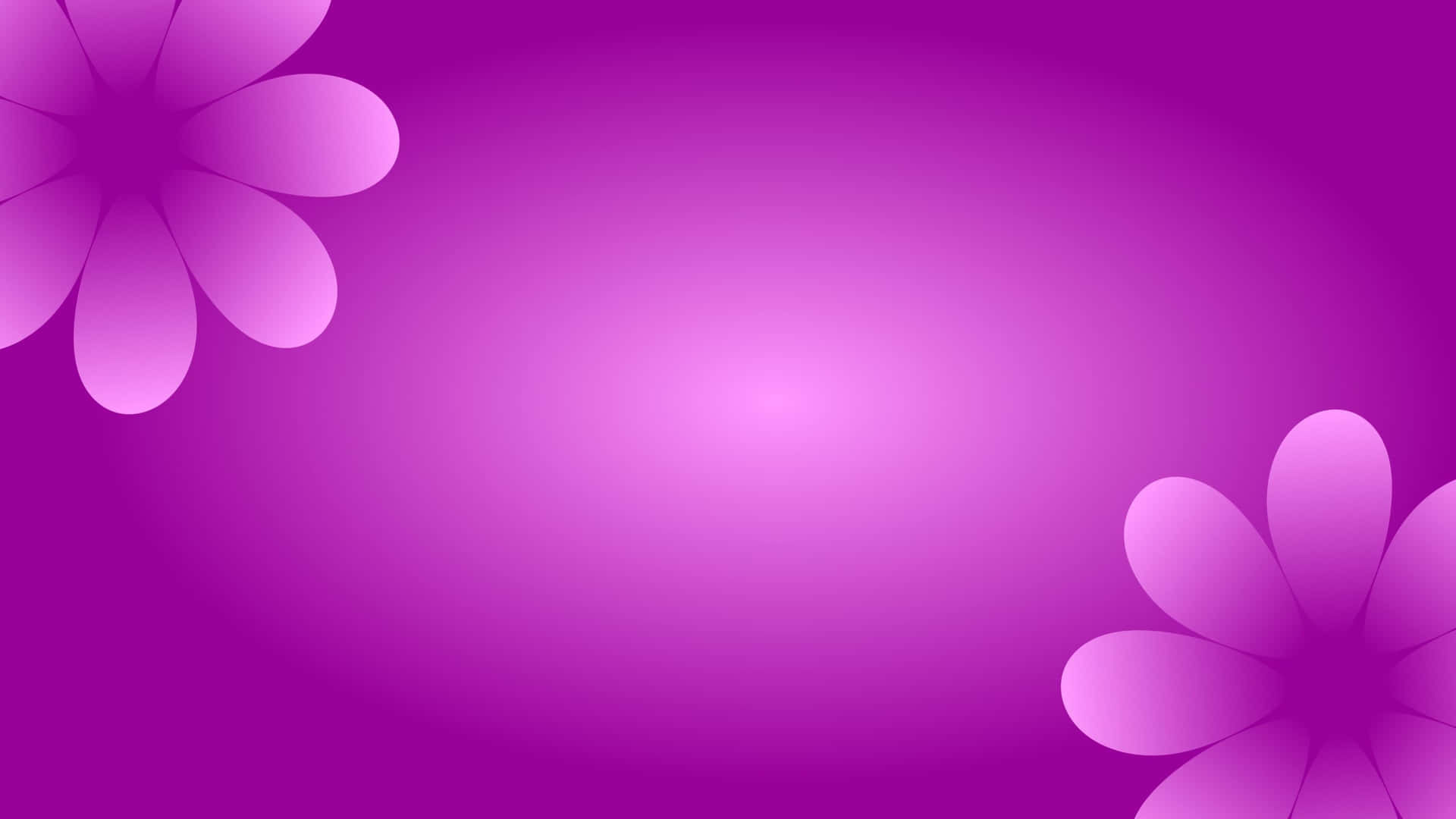 Two Flowers Vector Mauve Background