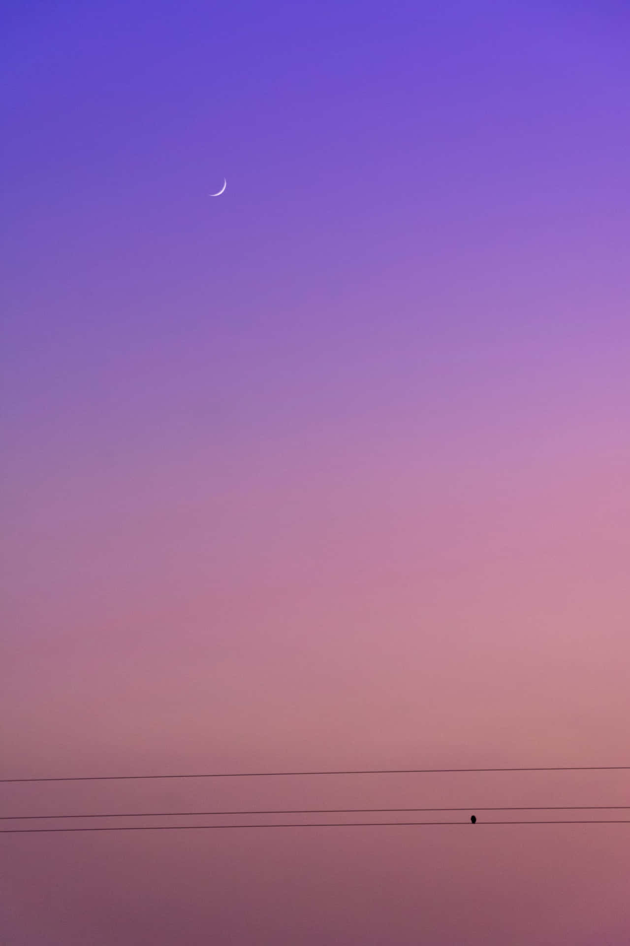 Mauve Skyline Crescent Moon Wallpaper