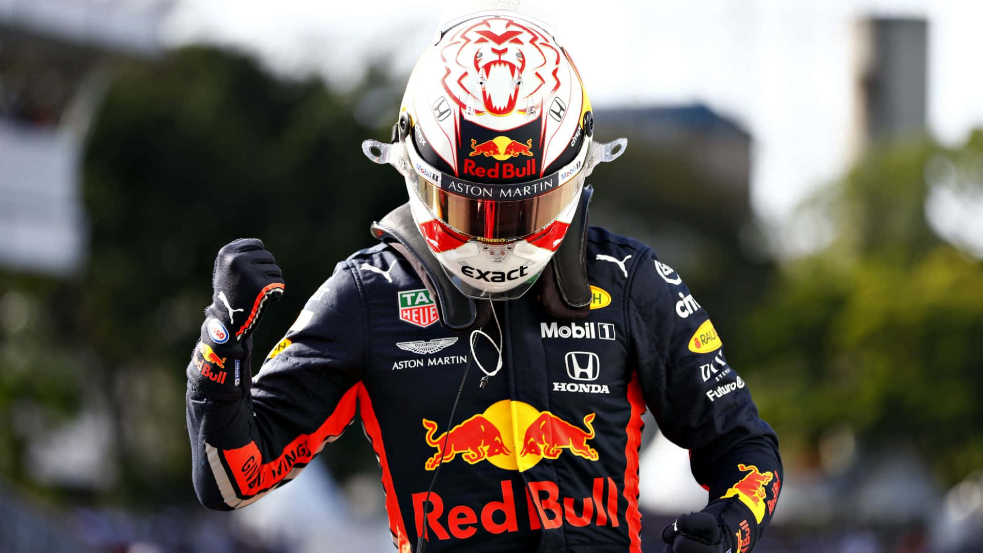 Max Verstappen driving his Formula 1 car at high speed