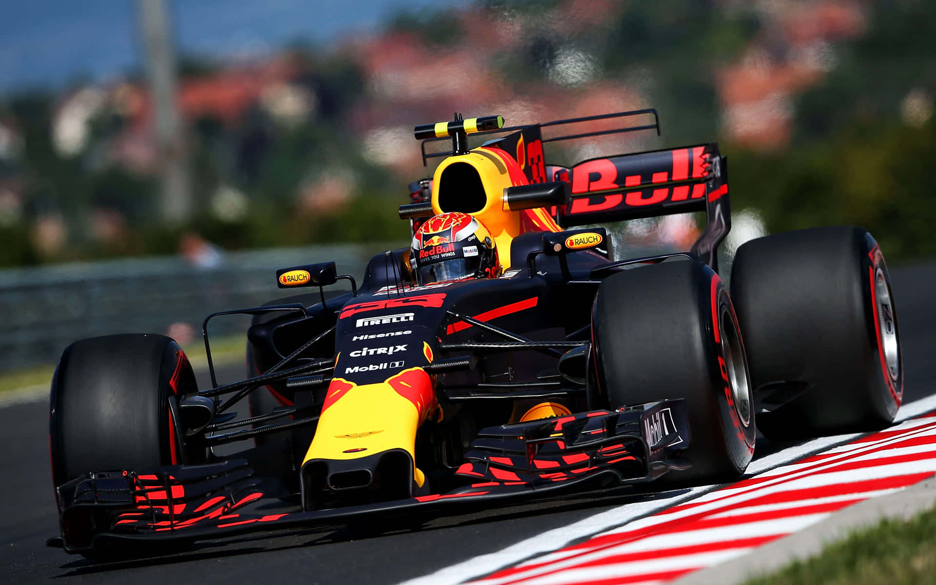 Max Verstappen Racing on the Track