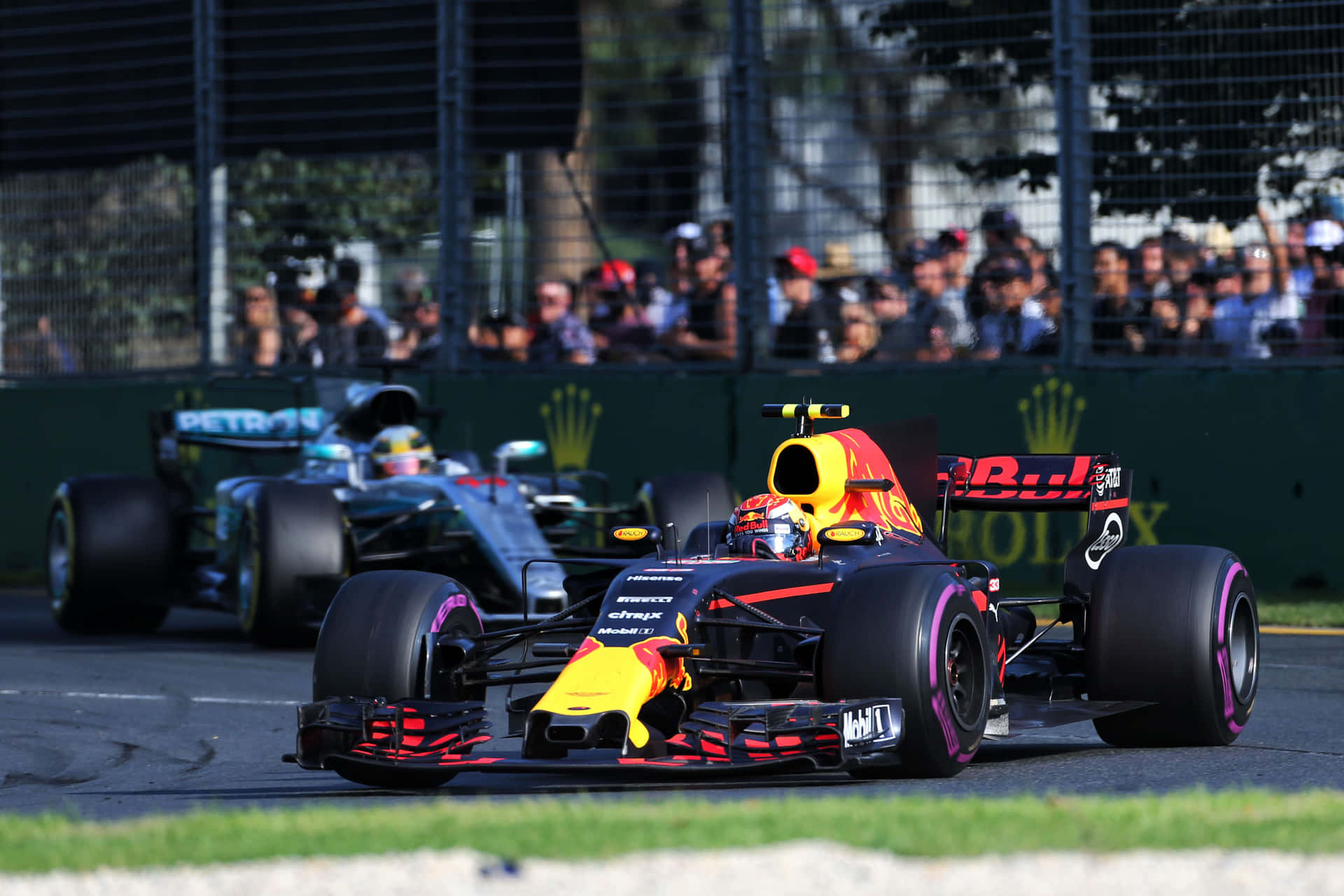 Max Verstappen racing on the track