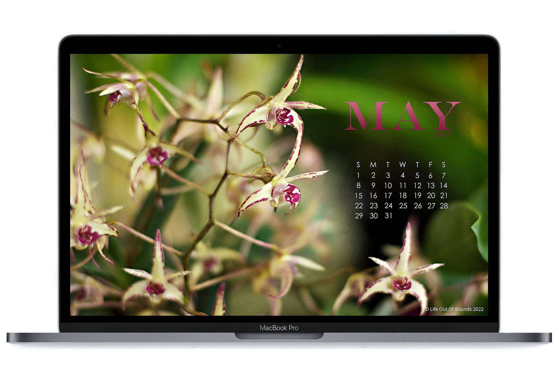May 2022 Calendar Wallpaper