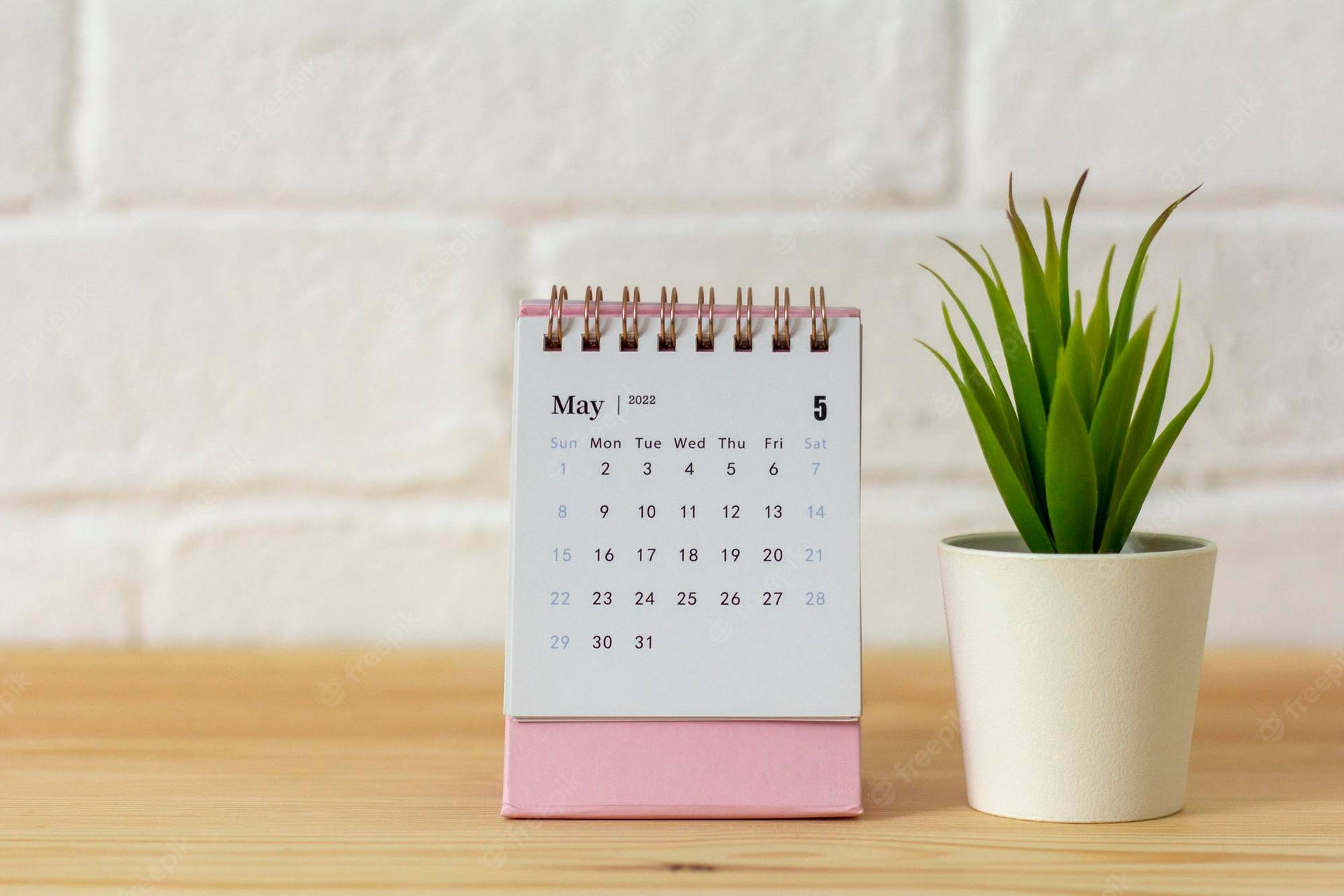 A Pink Calendar With A Plant On A Wooden Table Wallpaper