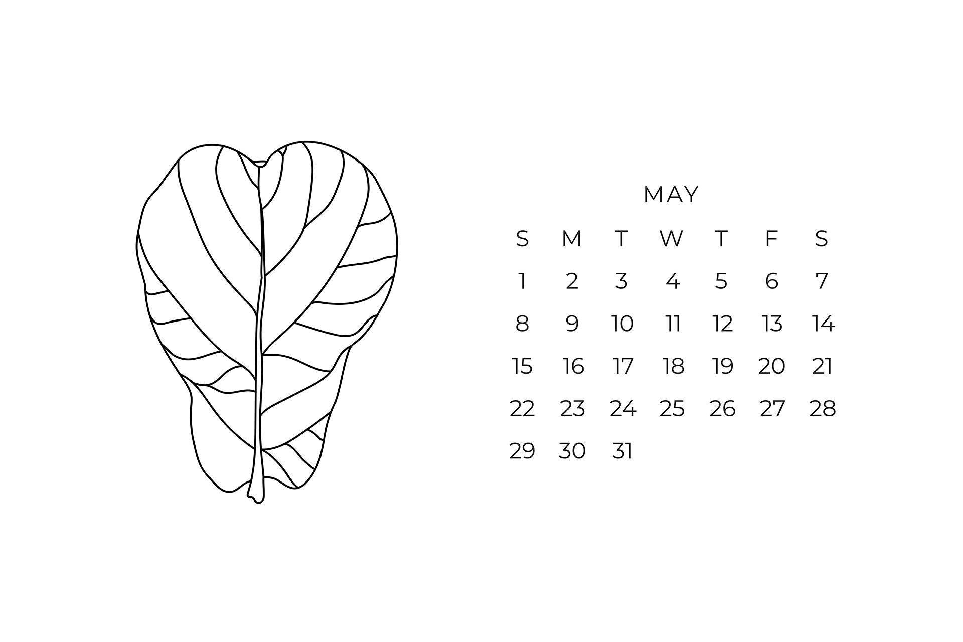 A Calendar With A Leaf On It Wallpaper