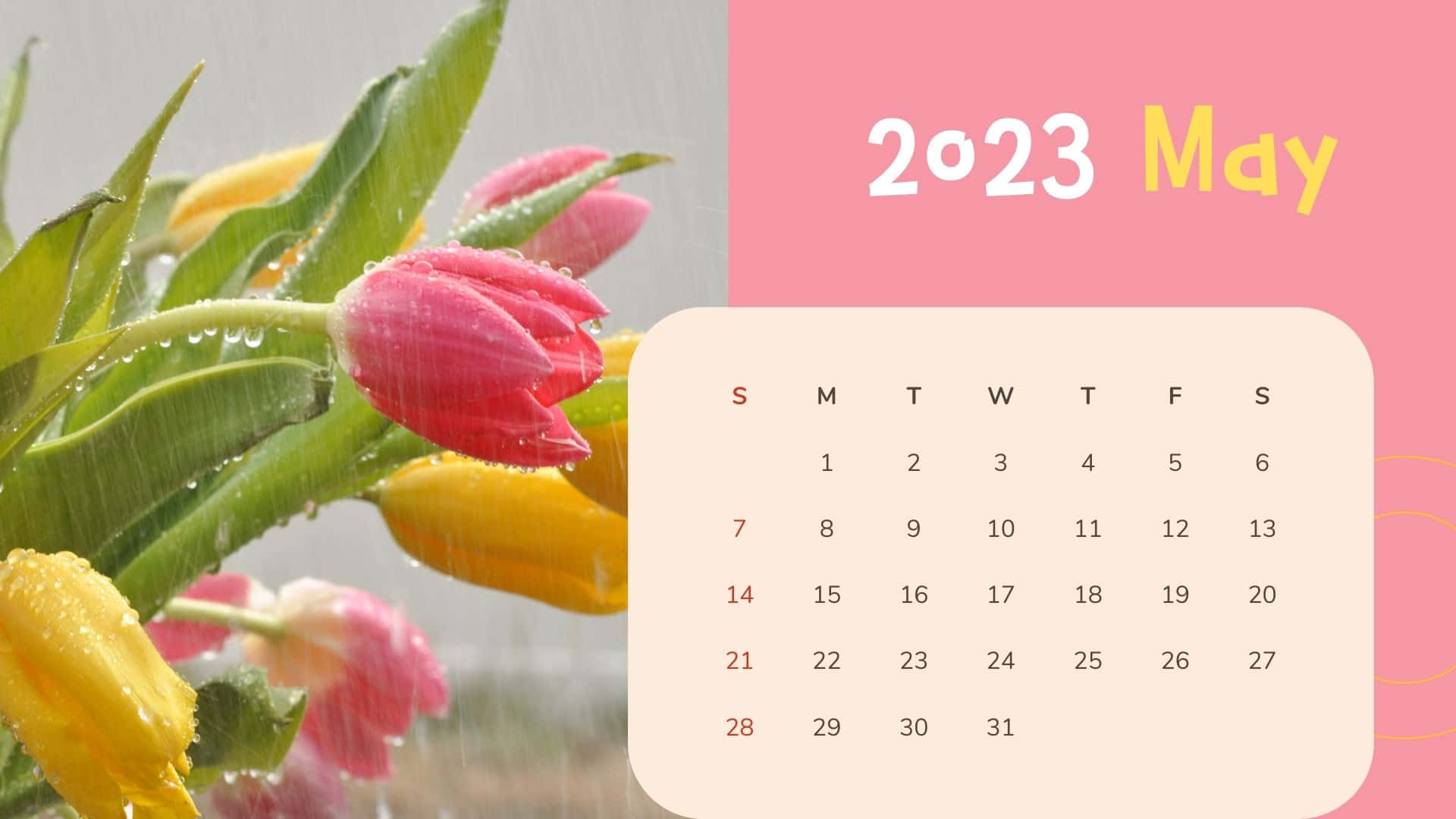 A Calendar With Tulips And Rain Wallpaper