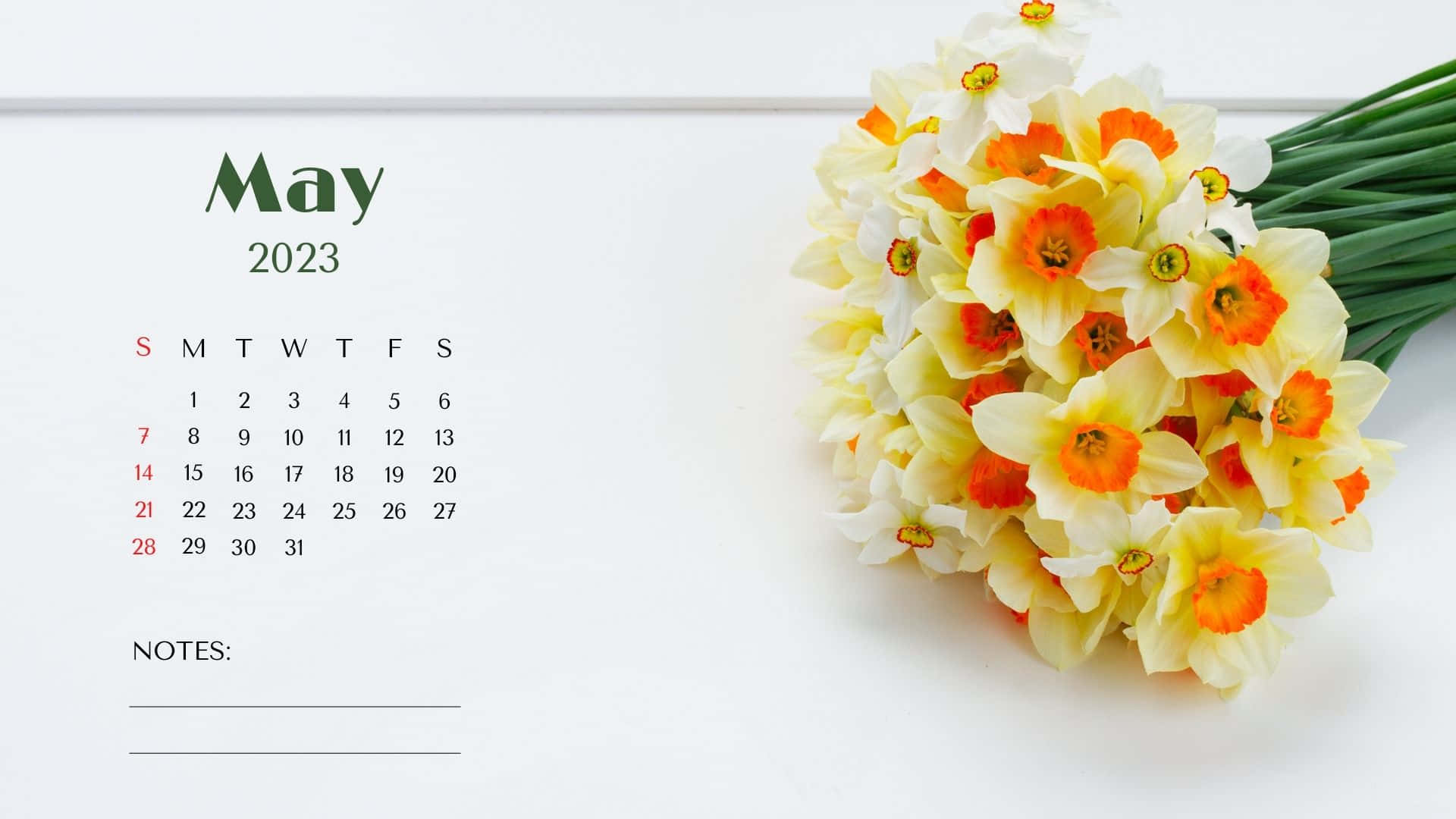 "Organize your May 2023 with this beautiful calendar wallpaper" Wallpaper