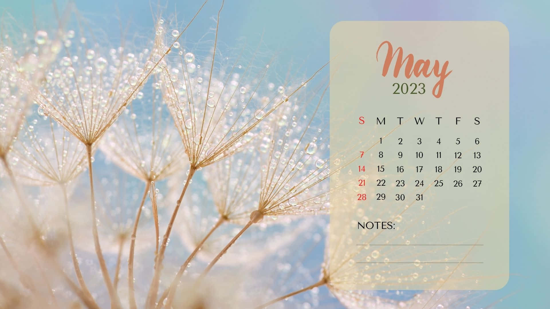 Gain Control of Your Month with a May 2023 Calendar Wallpaper
