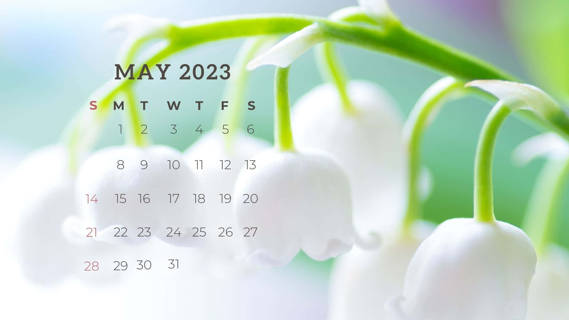 Calendariode Mayo 2023 Fondo de pantalla