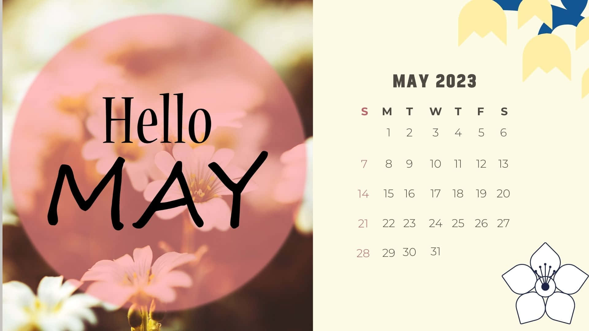 Download Hello May Calendar Wallpaper Wallpaper