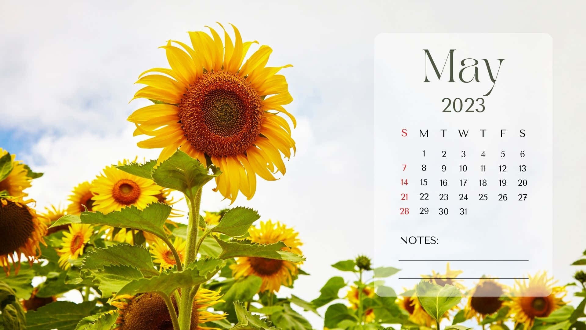 A Calendar With Sunflowers In The Background Wallpaper