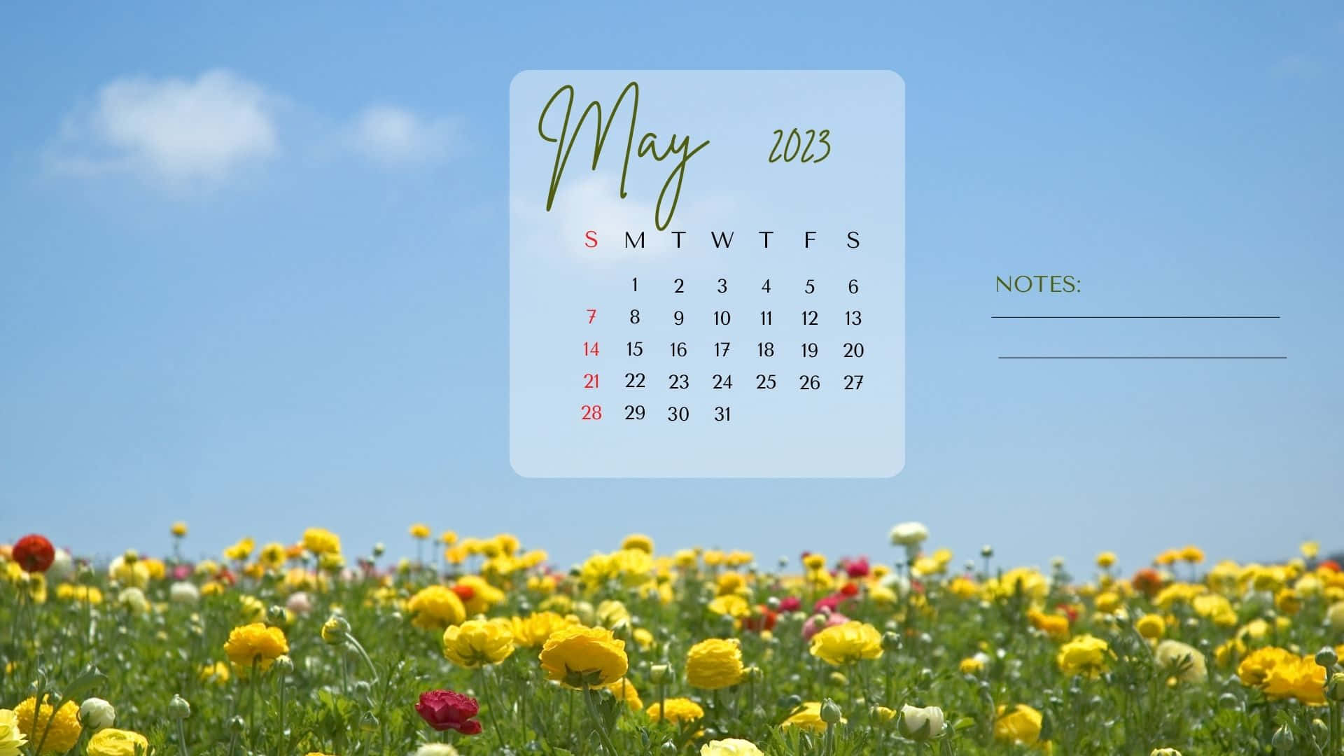Calendariode Mayo 2023 Fondo de pantalla