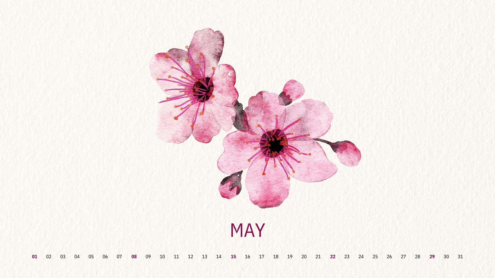 May Desktop Calendar Floral Theme Wallpaper