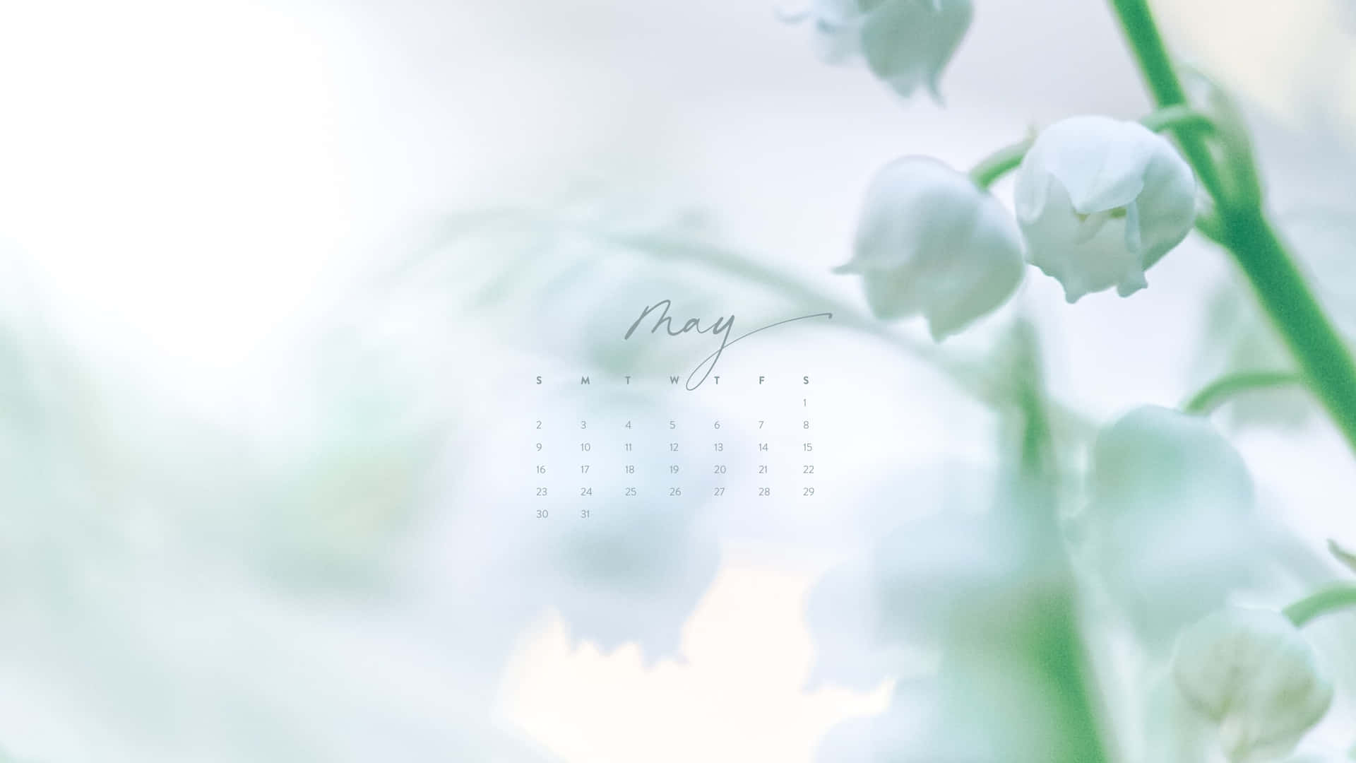 May Floral Aesthetic Calendar Wallpaper Wallpaper
