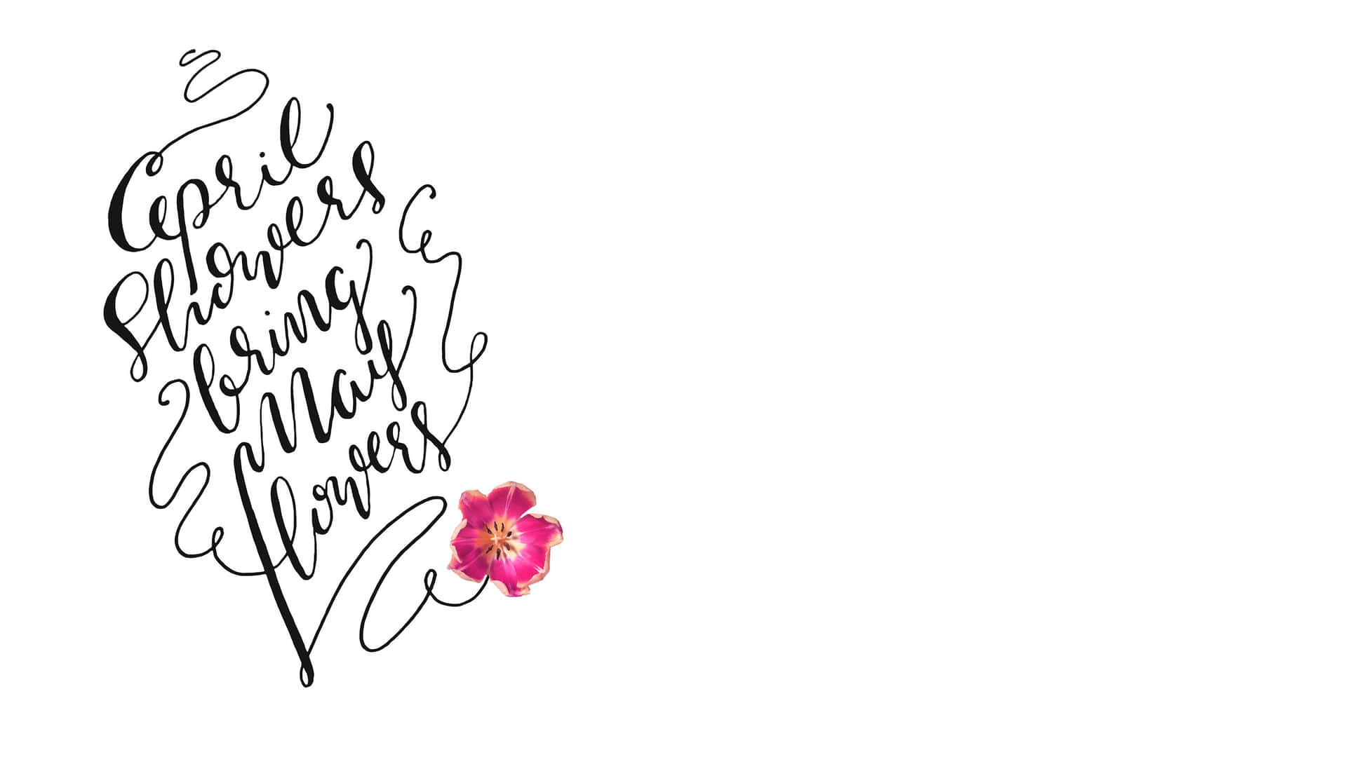 May Flowers Quote Art Wallpaper