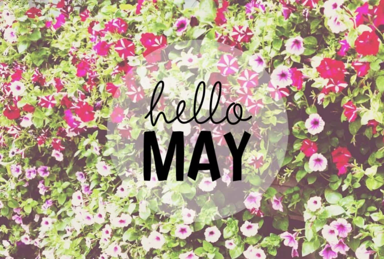 May Month, Hello May HD wallpaper | Pxfuel