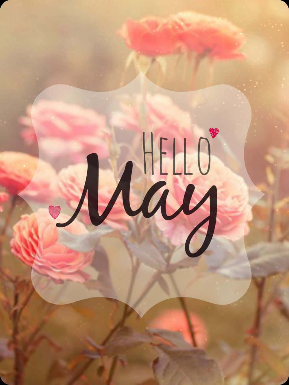 Hello May Wallpapers - Top Free Hello May Backgrounds - WallpaperAccess