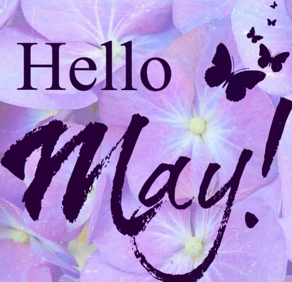 Hello May Greeting Card