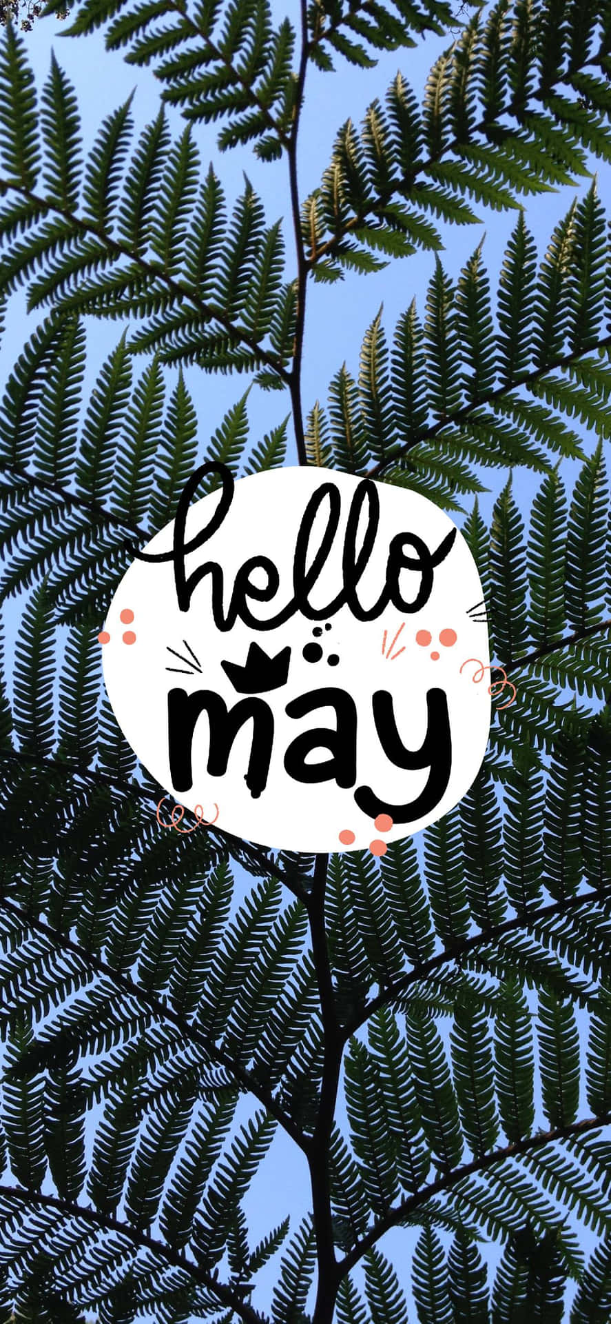 Welcoming May with Open Arms